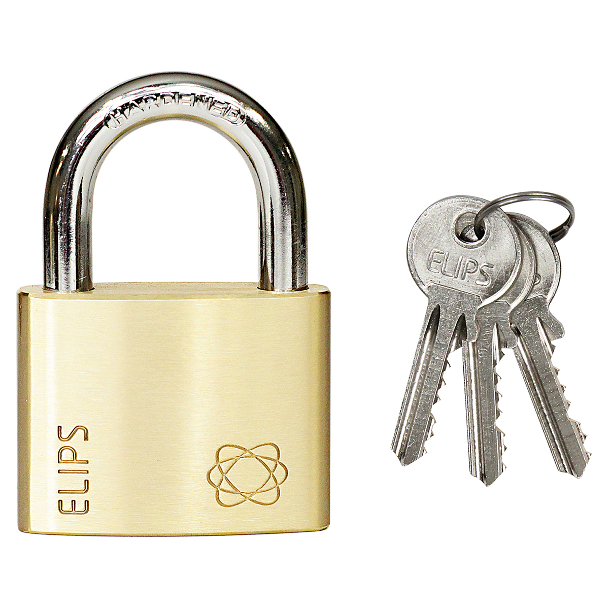 94824-8592218038231-d-rvelips50-2020 www 300 1200 12008